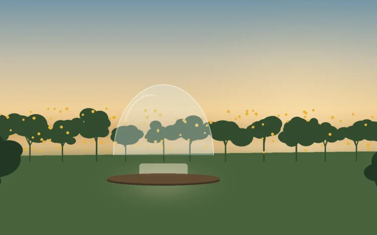 The orchard calendar: what ripens, month by month